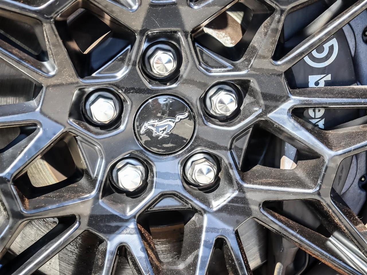 2024 Ford Mustang Loaded | GT Performance Pkg. | Active Exhaust | Photo