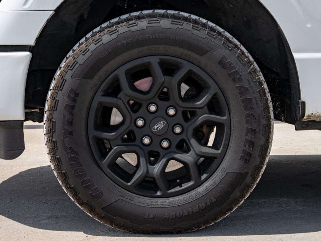 2024 Ford F-150 XLT Photo