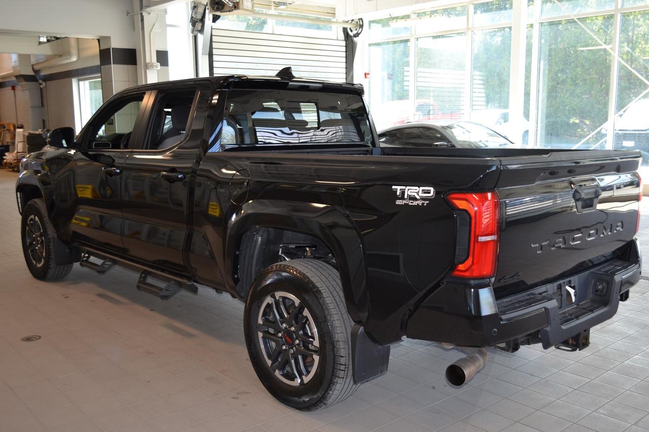 2024 Toyota Tacoma  Photo