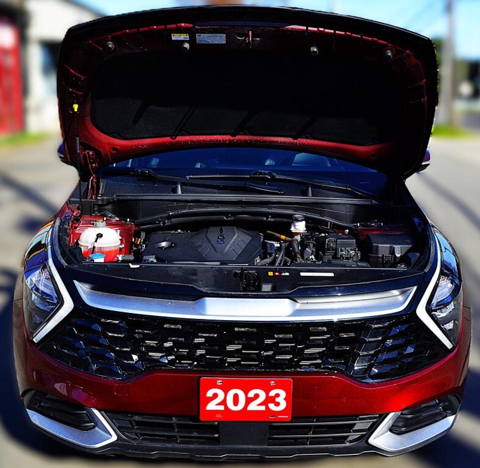 2023 Kia Sportage EX 4dr All-Wheel Drive Automatic Photo