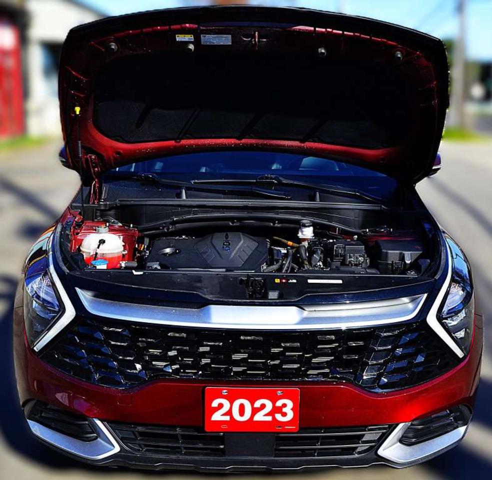 2023 Kia Sportage EX 4dr All-Wheel Drive Automatic Photo