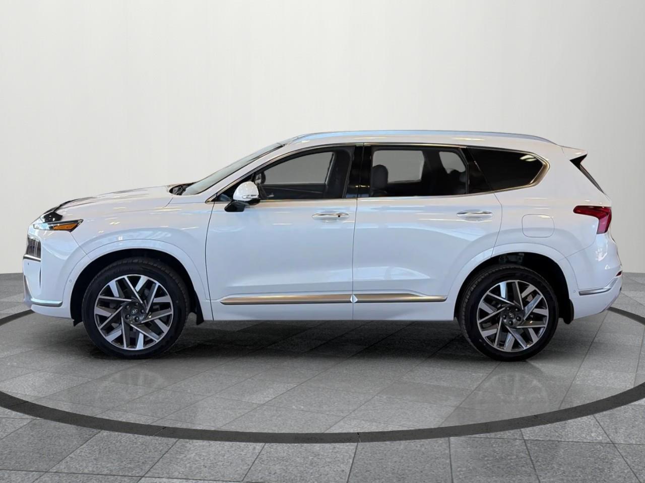 2022 Hyundai Santa Fe Ultimate Calligraphy 4dr All-Wheel Drive Photo
