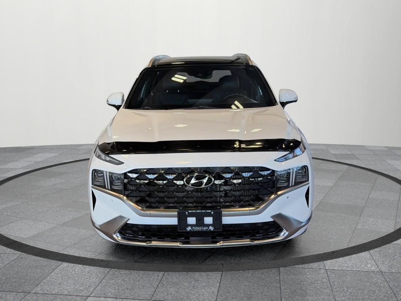 2022 Hyundai Santa Fe Ultimate Calligraphy 4dr All-Wheel Drive Photo