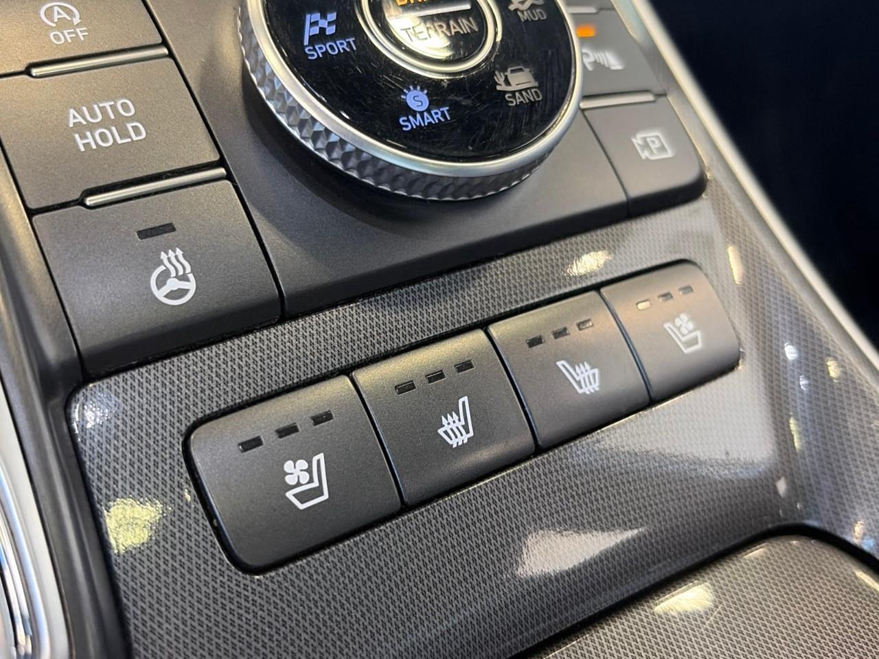 2022 Hyundai Santa Fe Ultimate Calligraphy 4dr All-Wheel Drive Photo