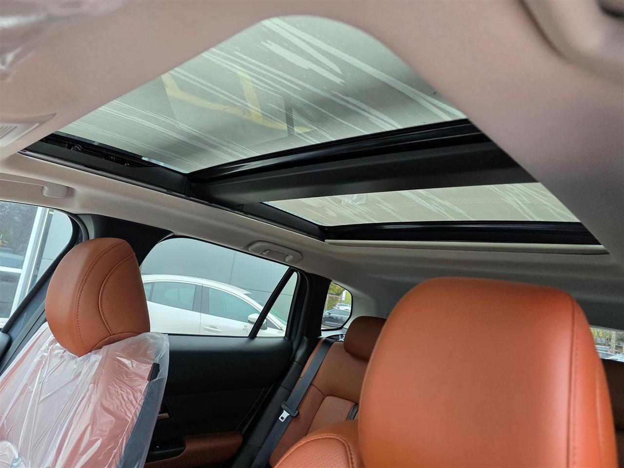 2025 Mazda CX-50 LOW LOW KM MERIDIAN EDITION Photo