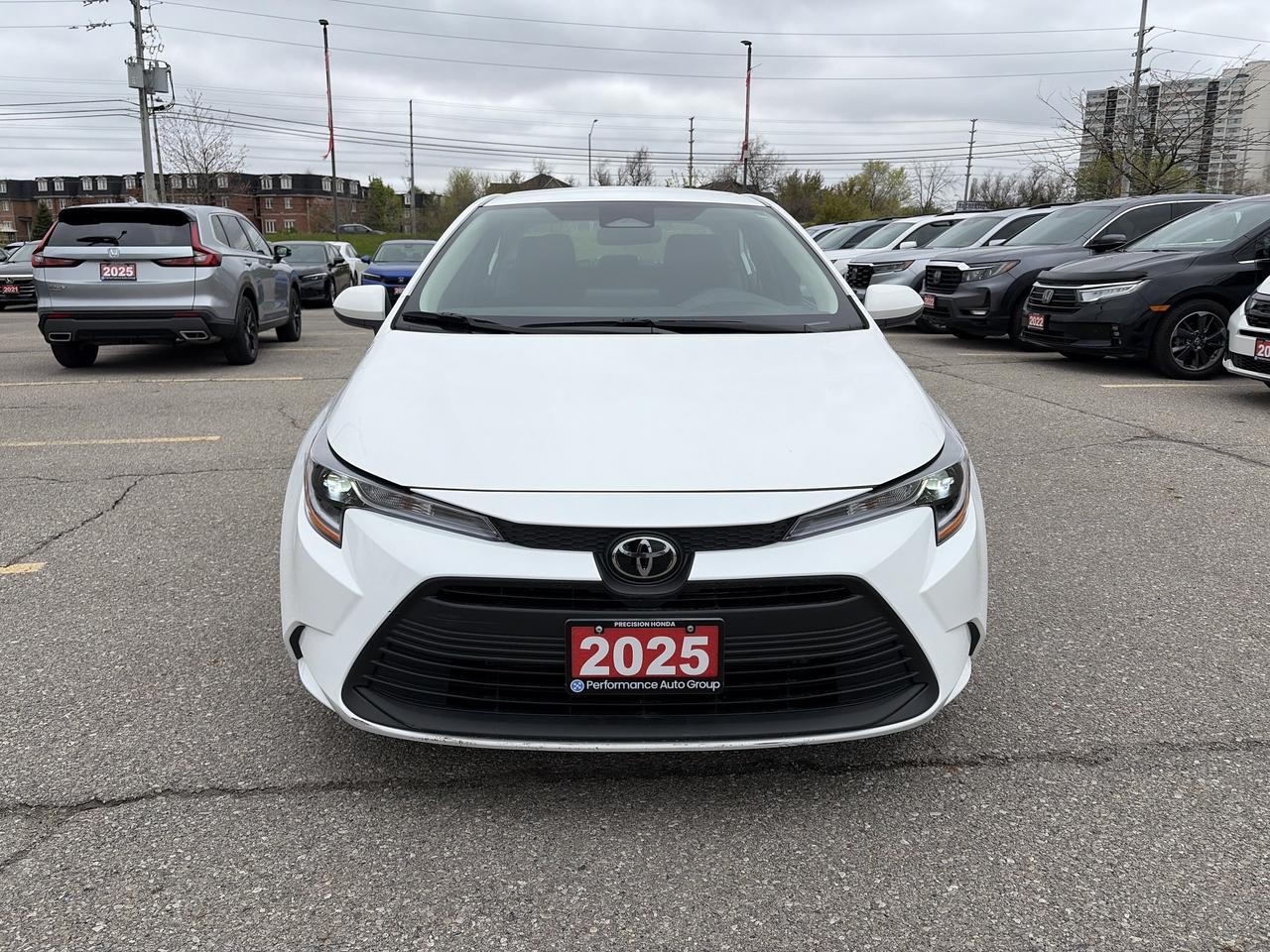 2025 Toyota Corolla LE Photo