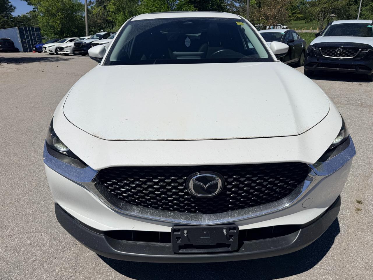 2024 Mazda CX-30 GS 4dr i-ACTIV All-Wheel Drive Sport Utility Photo