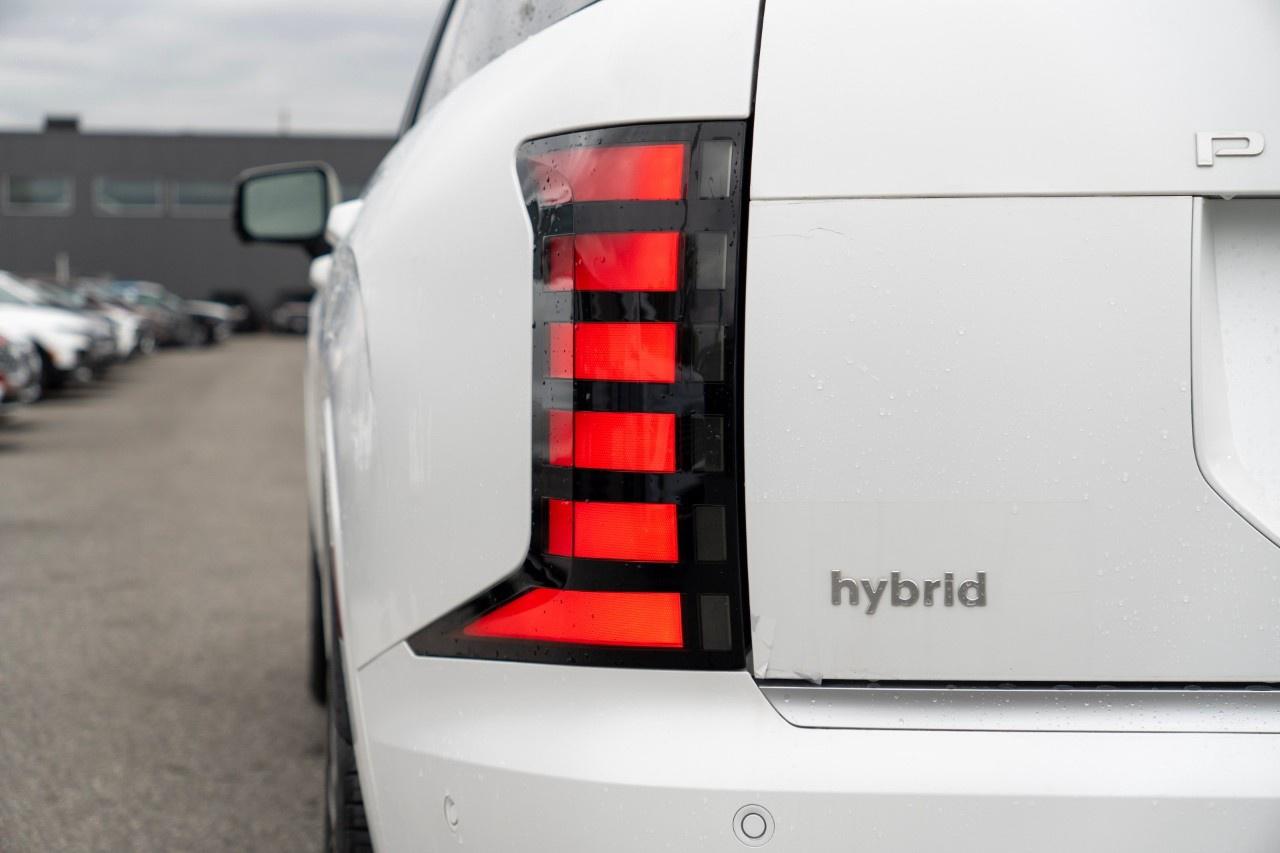 2026 Hyundai Palisade Hybrid  Photo