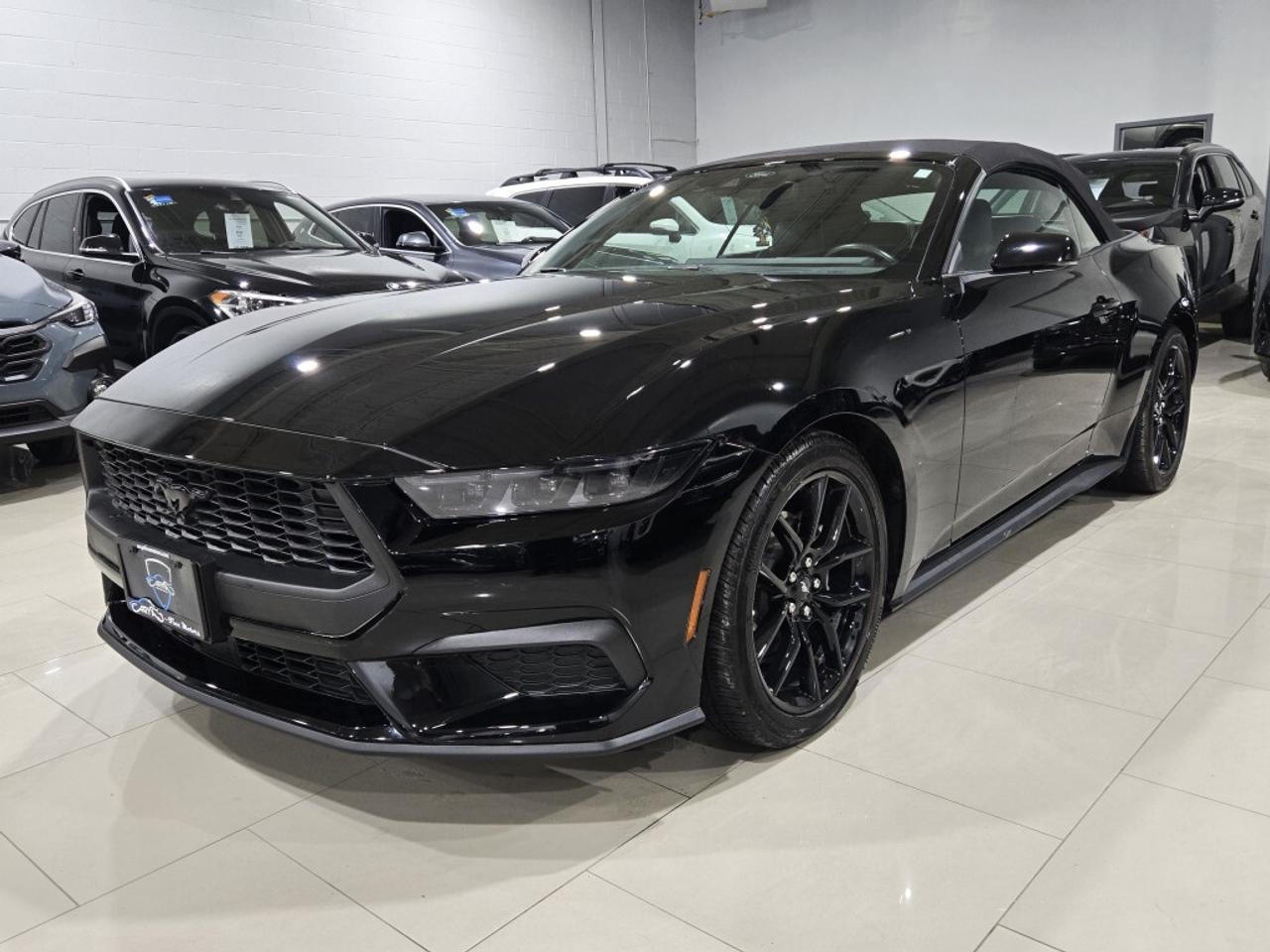 2024 Ford Mustang ECOBOOST PREMIUM CONVERTIBLE AUTO NO ACCIDENT ONE Photo4