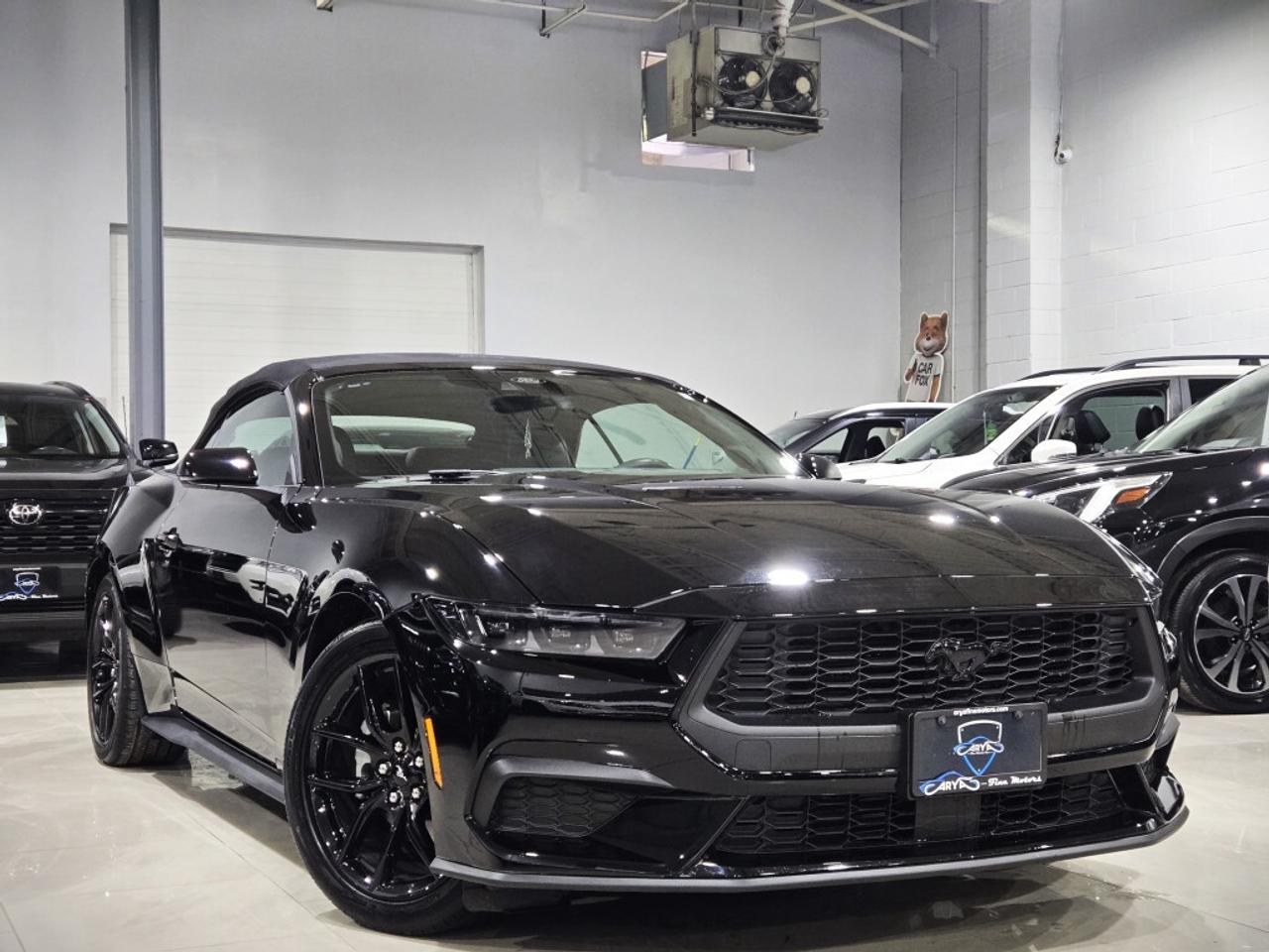 2024 Ford Mustang ECOBOOST PREMIUM CONVERTIBLE AUTO NO ACCIDENT ONE Photo