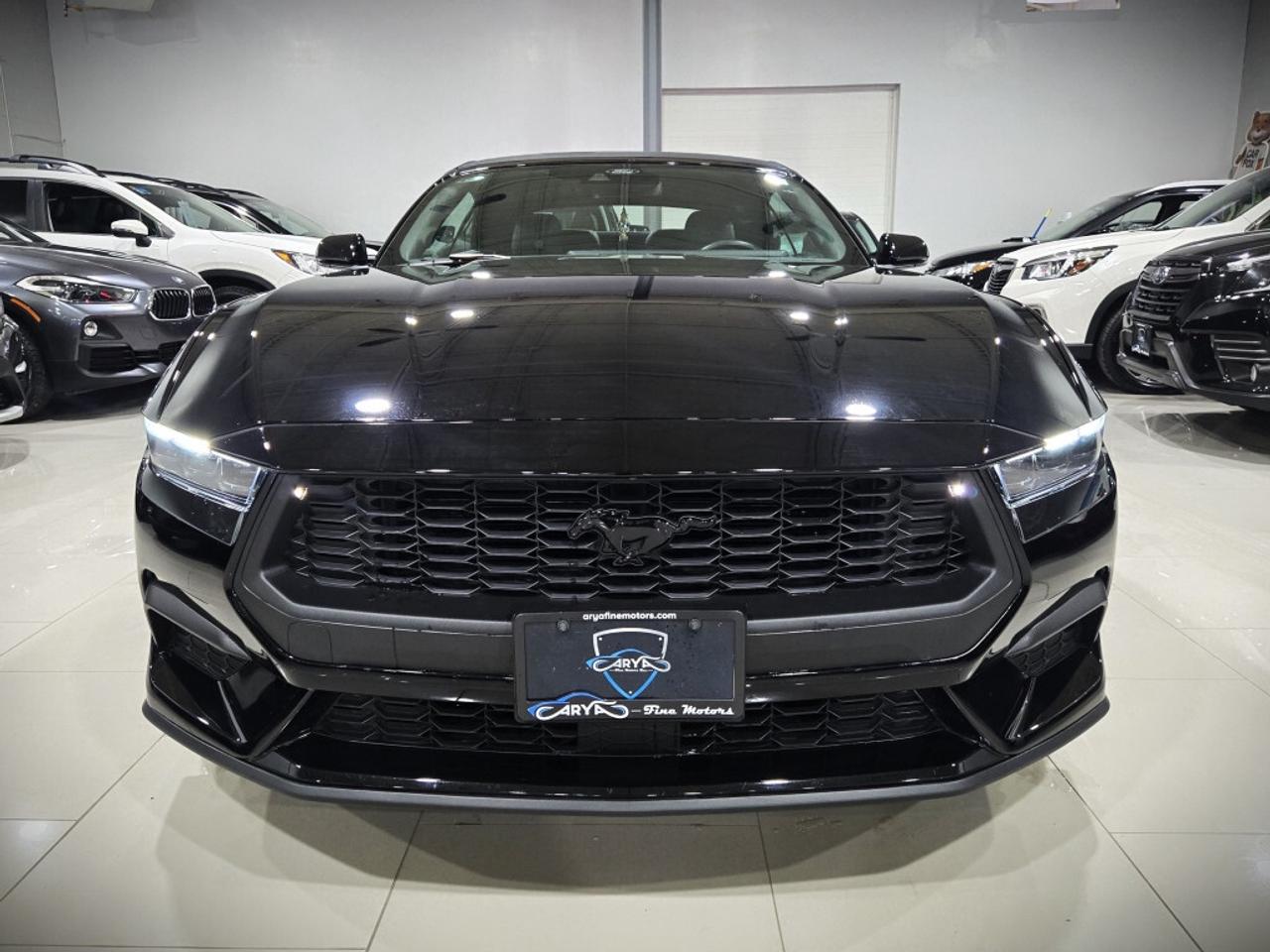 2024 Ford Mustang ECOBOOST PREMIUM CONVERTIBLE AUTO NO ACCIDENT ONE Photo