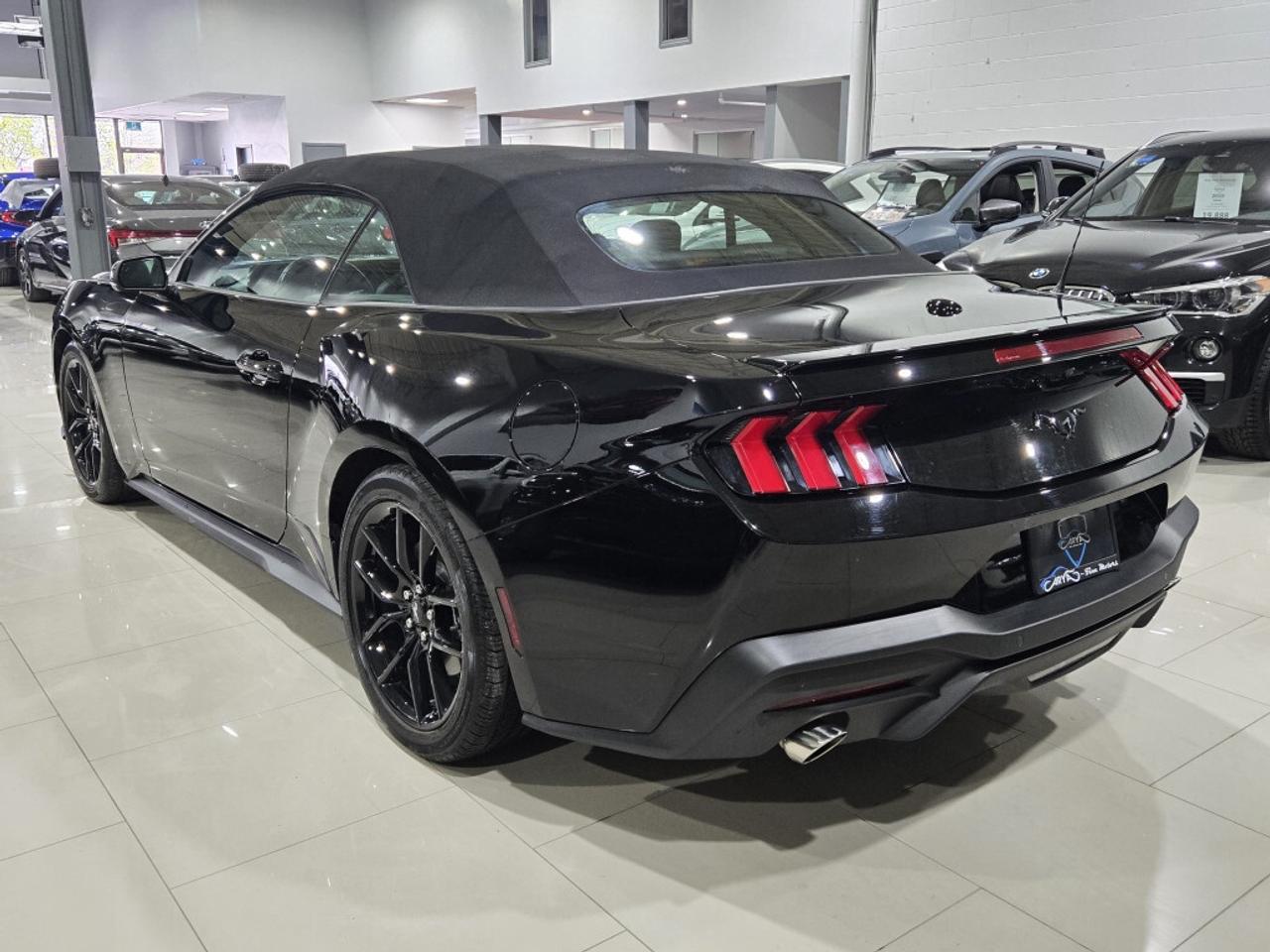 2024 Ford Mustang ECOBOOST PREMIUM CONVERTIBLE AUTO NO ACCIDENT ONE Photo