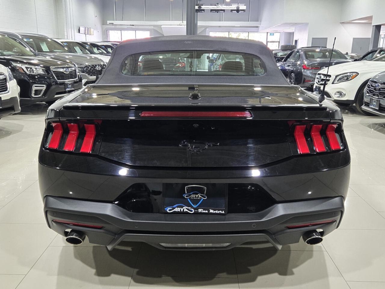 2024 Ford Mustang ECOBOOST PREMIUM CONVERTIBLE AUTO NO ACCIDENT ONE Photo