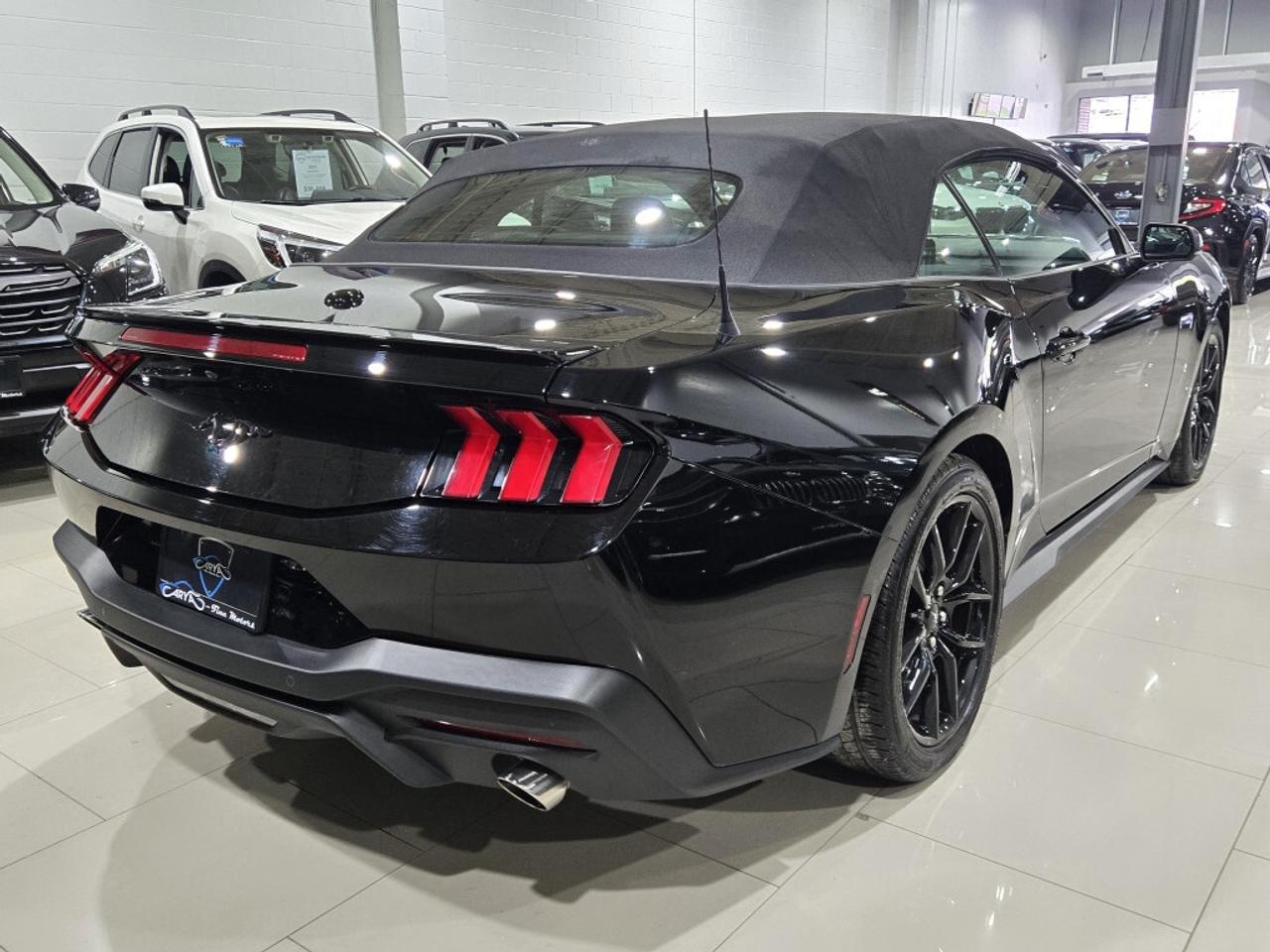 2024 Ford Mustang ECOBOOST PREMIUM CONVERTIBLE AUTO NO ACCIDENT ONE Photo