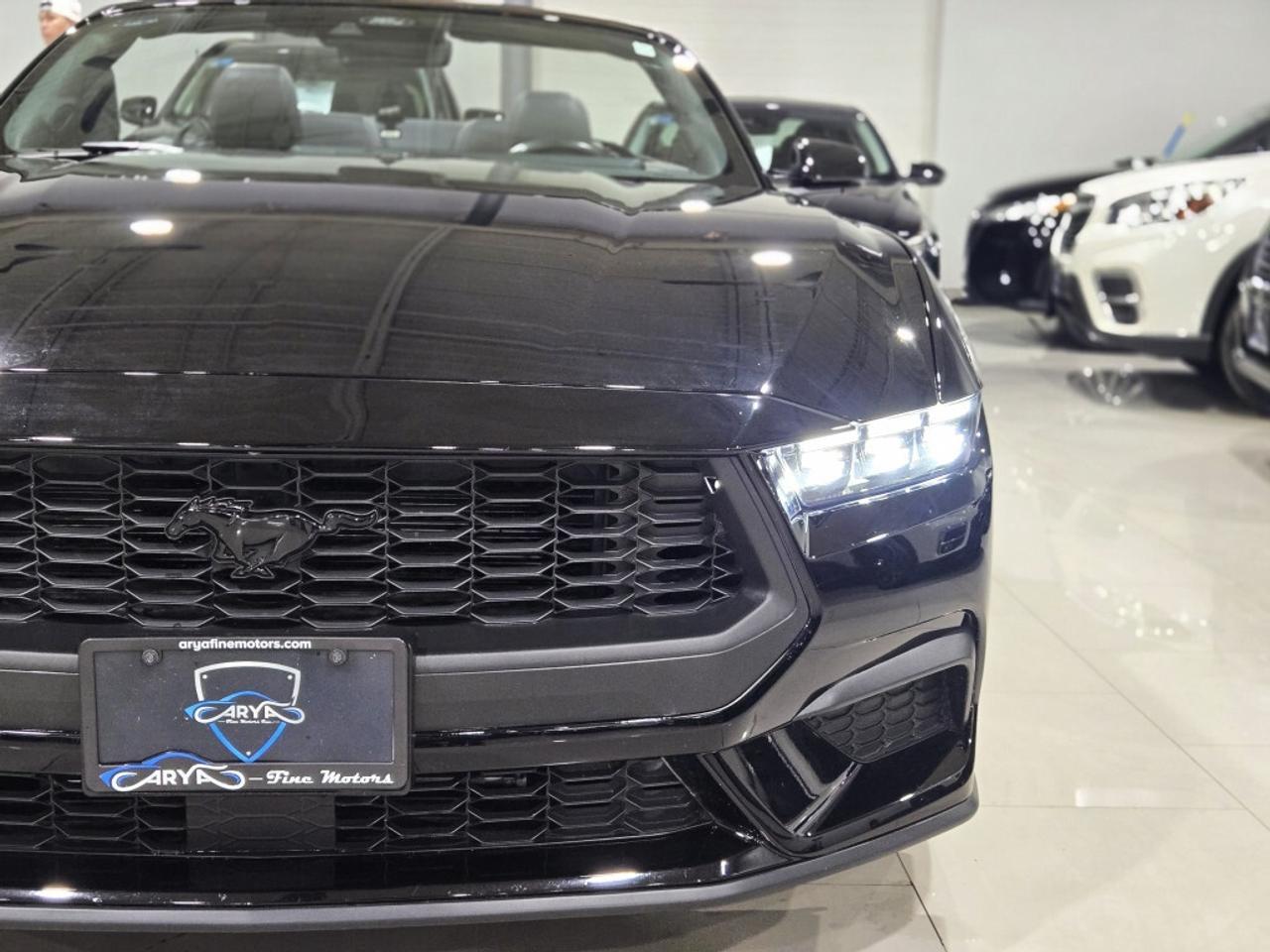 2024 Ford Mustang ECOBOOST PREMIUM CONVERTIBLE AUTO NO ACCIDENT ONE Photo