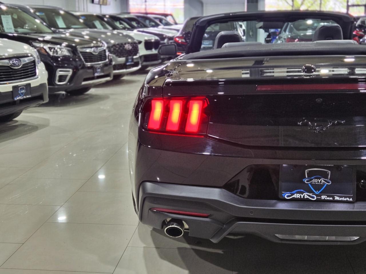 2024 Ford Mustang ECOBOOST PREMIUM CONVERTIBLE AUTO NO ACCIDENT ONE Photo