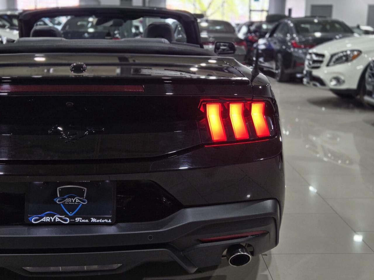 2024 Ford Mustang ECOBOOST PREMIUM CONVERTIBLE AUTO NO ACCIDENT ONE Photo