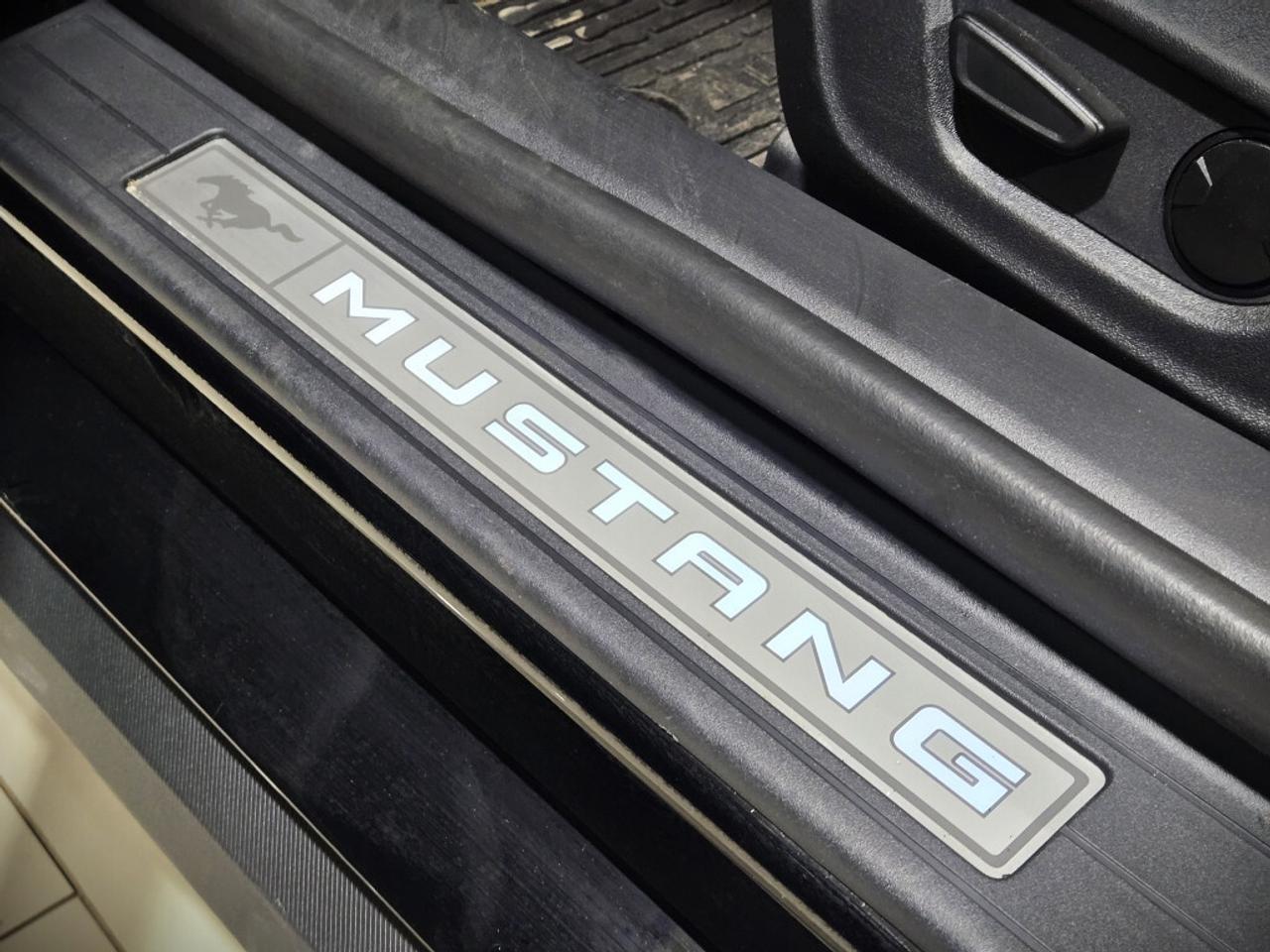 2024 Ford Mustang ECOBOOST PREMIUM CONVERTIBLE AUTO NO ACCIDENT ONE Photo