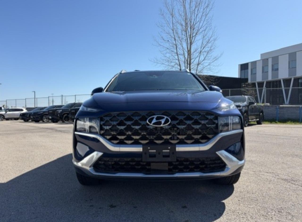 2022 Hyundai Santa Fe Ultimate Calligraphy 4dr All-Wheel Drive Photo
