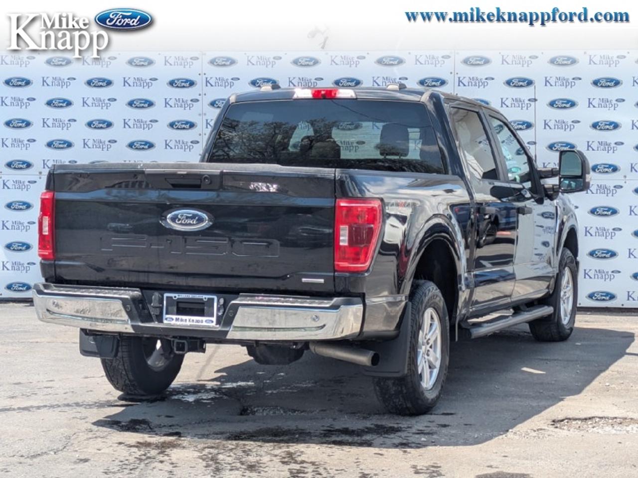 2023 Ford F-150 XLT Photo
