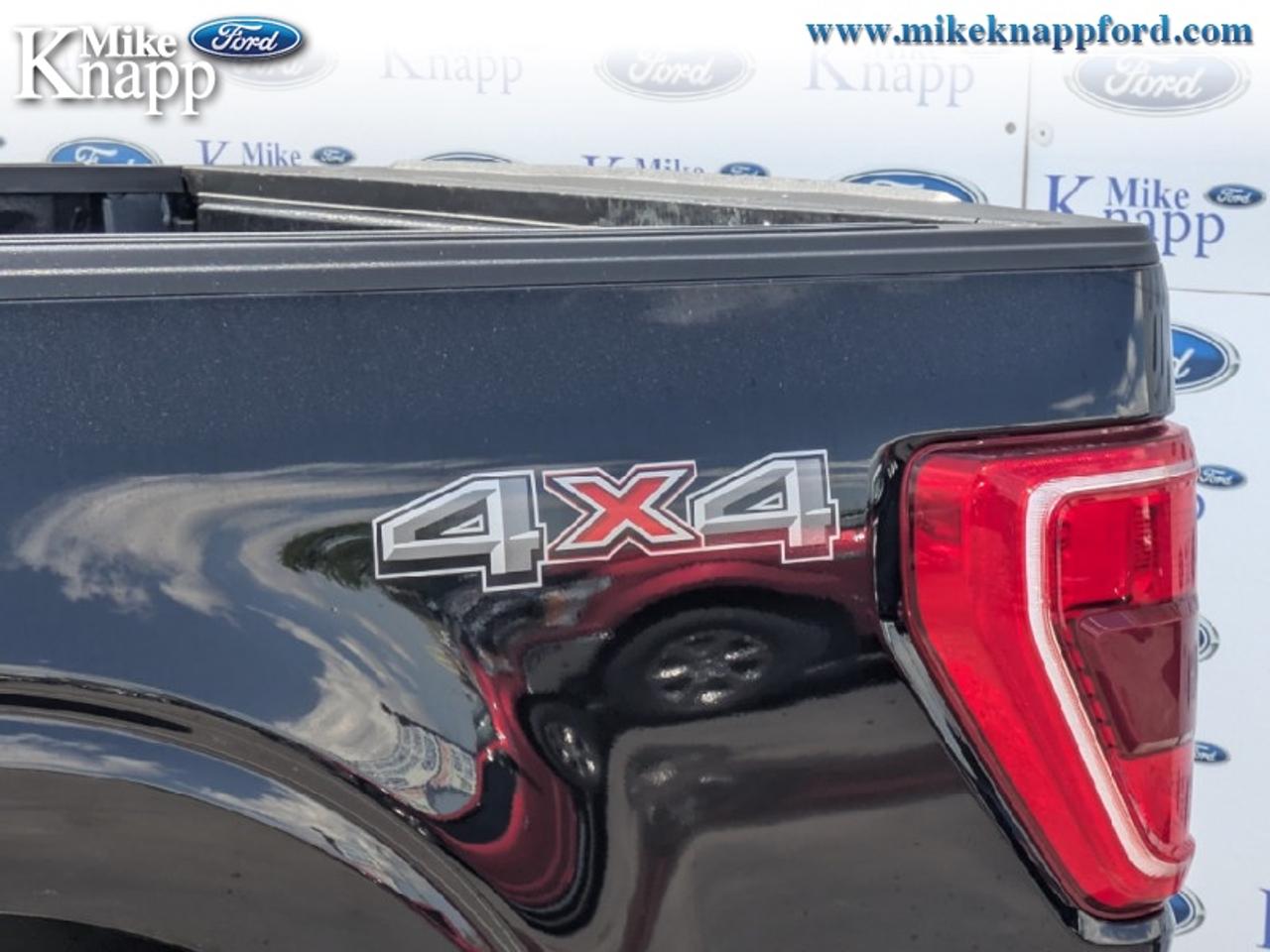 2023 Ford F-150 XLT Photo