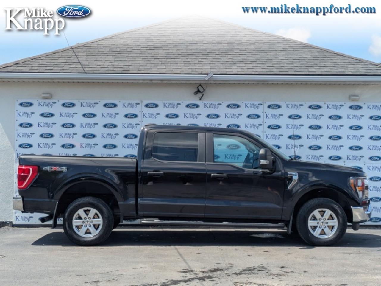 2023 Ford F-150 XLT Photo