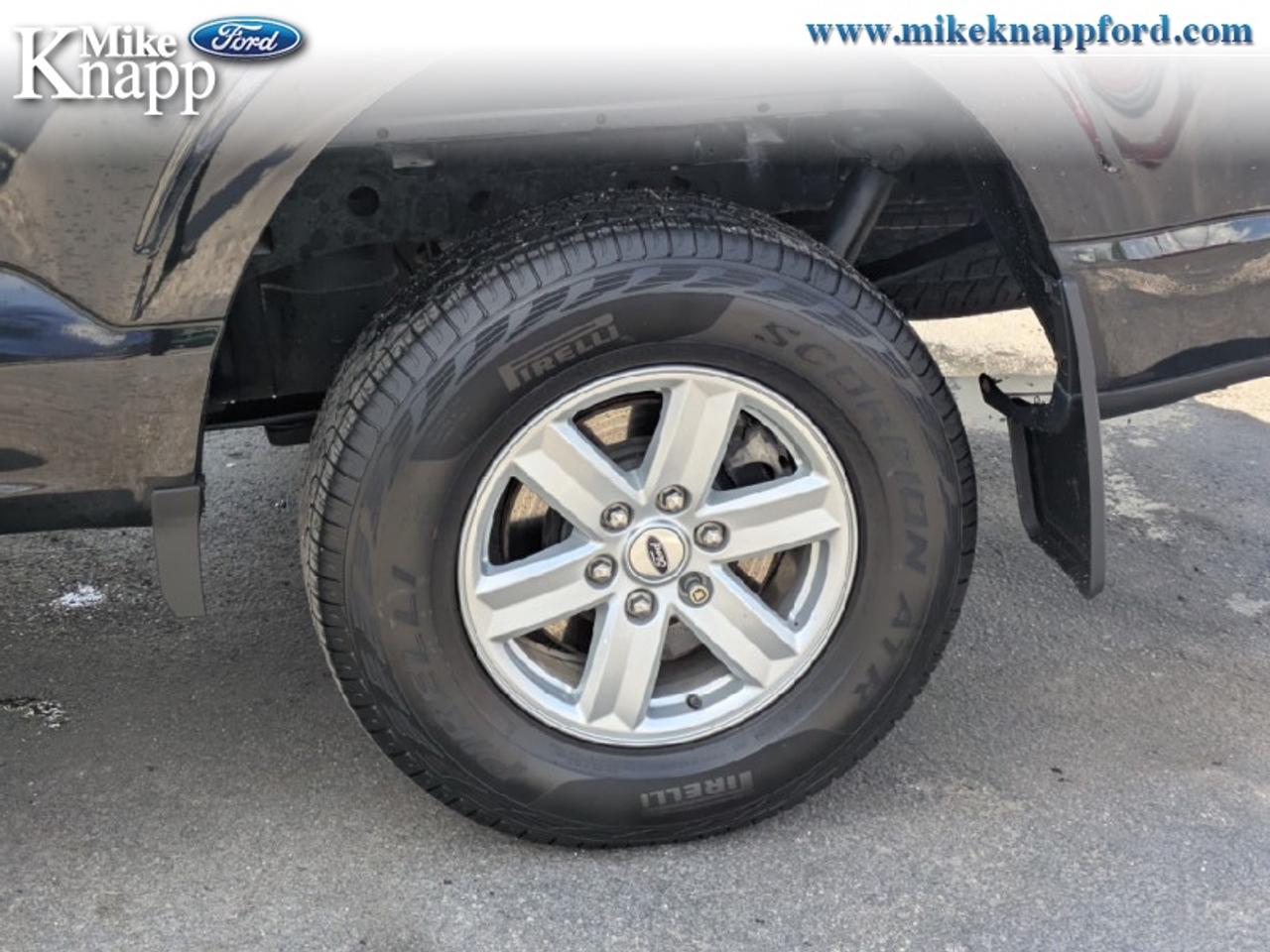 2023 Ford F-150 XLT Photo