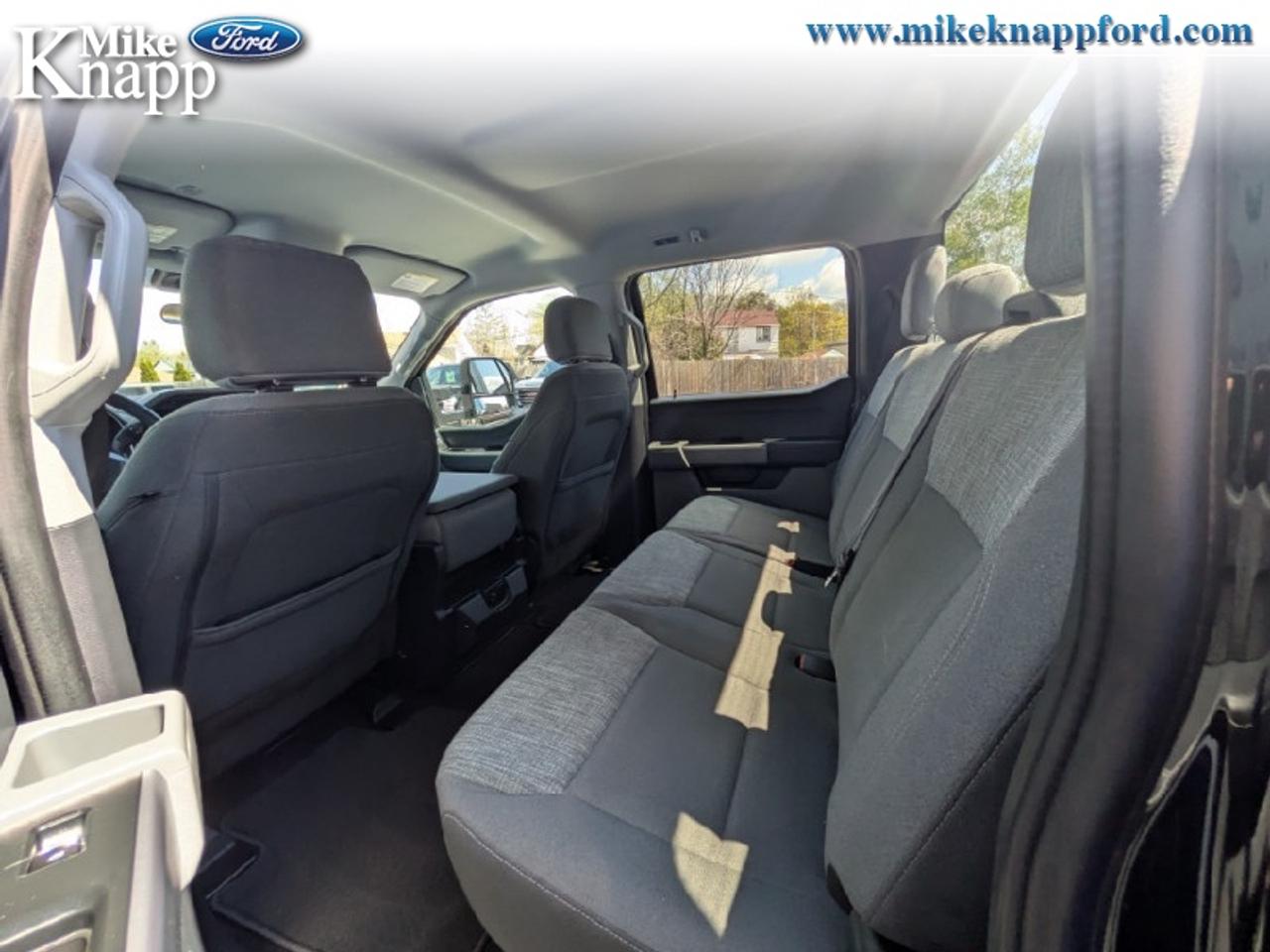 2023 Ford F-150 XLT Photo