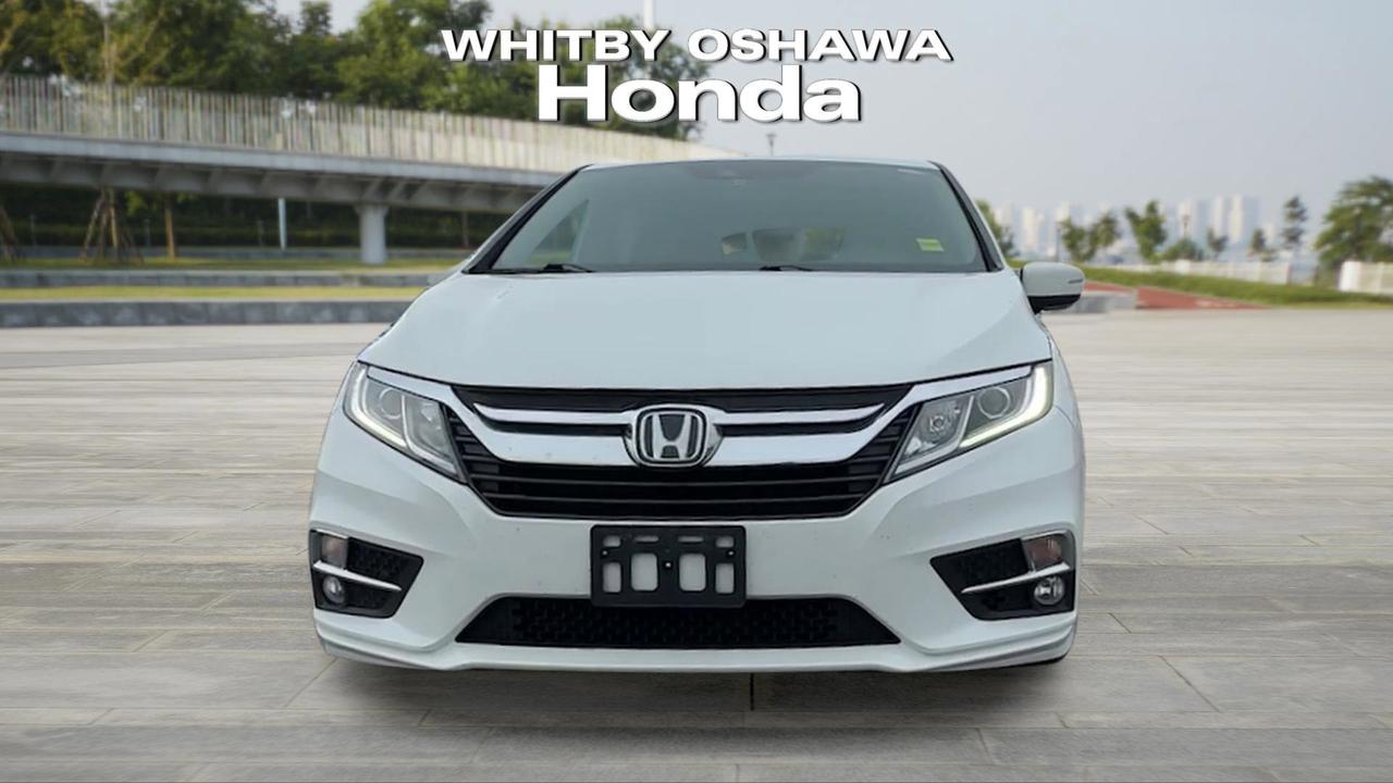 2020 Honda Odyssey  Photo
