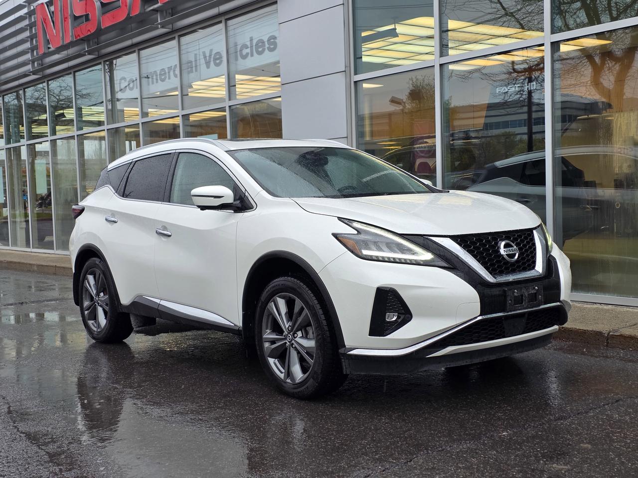 2020 Nissan Murano Platinum Photo