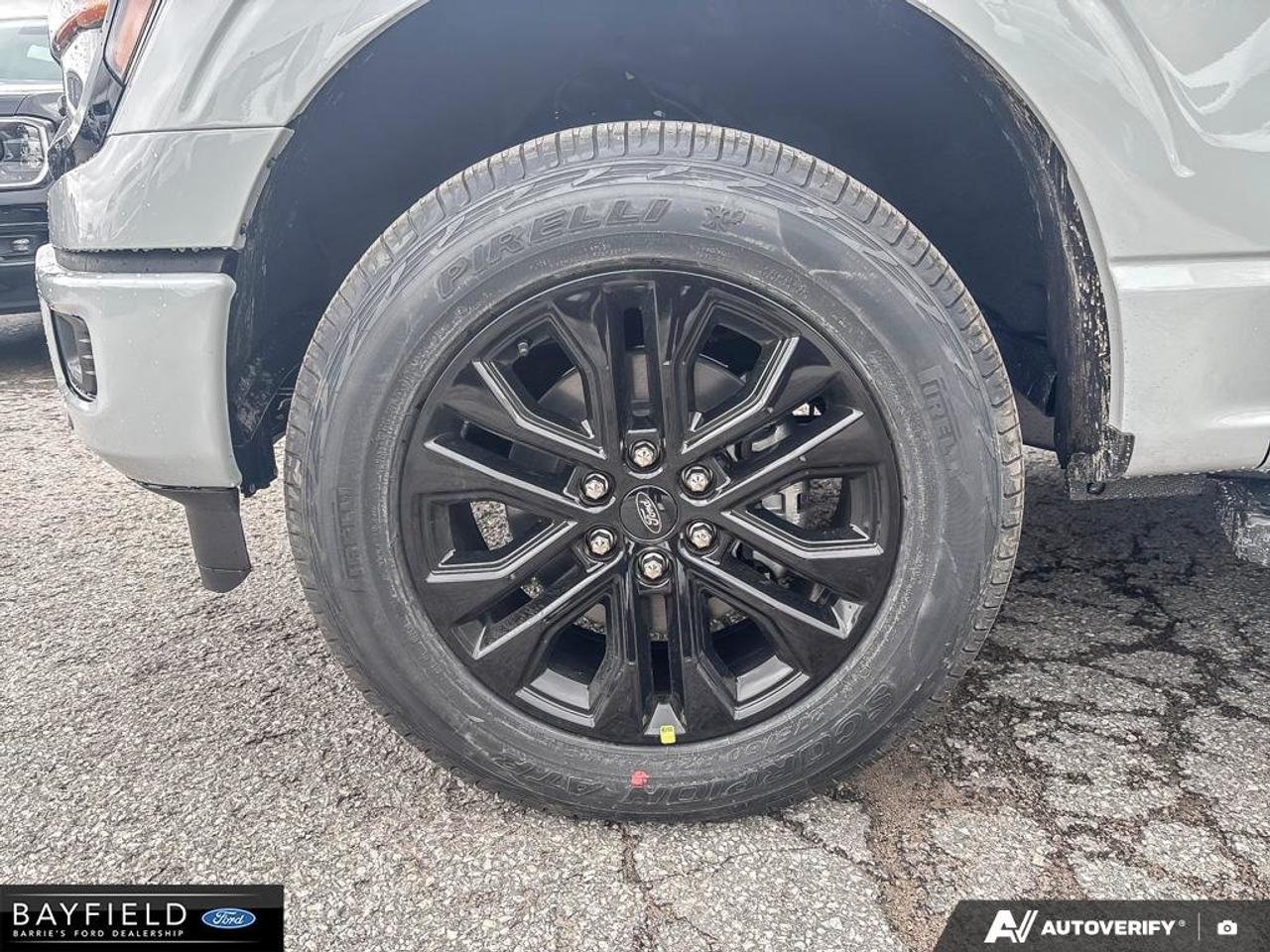 2026 Ford F-150 XLT 4WD SuperCrew 5.5' Box Photo