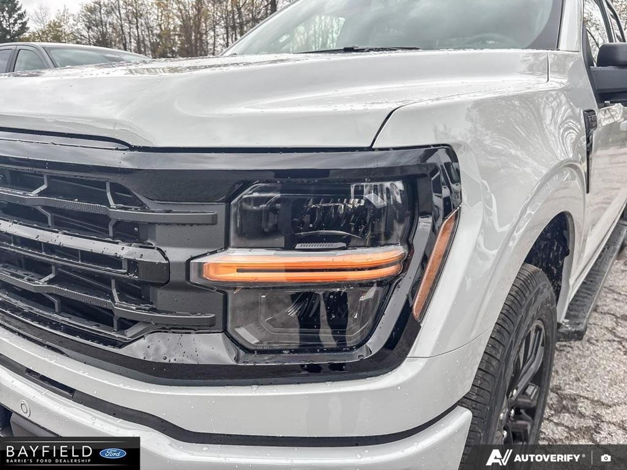 2026 Ford F-150 XLT 4WD SuperCrew 5.5' Box Photo