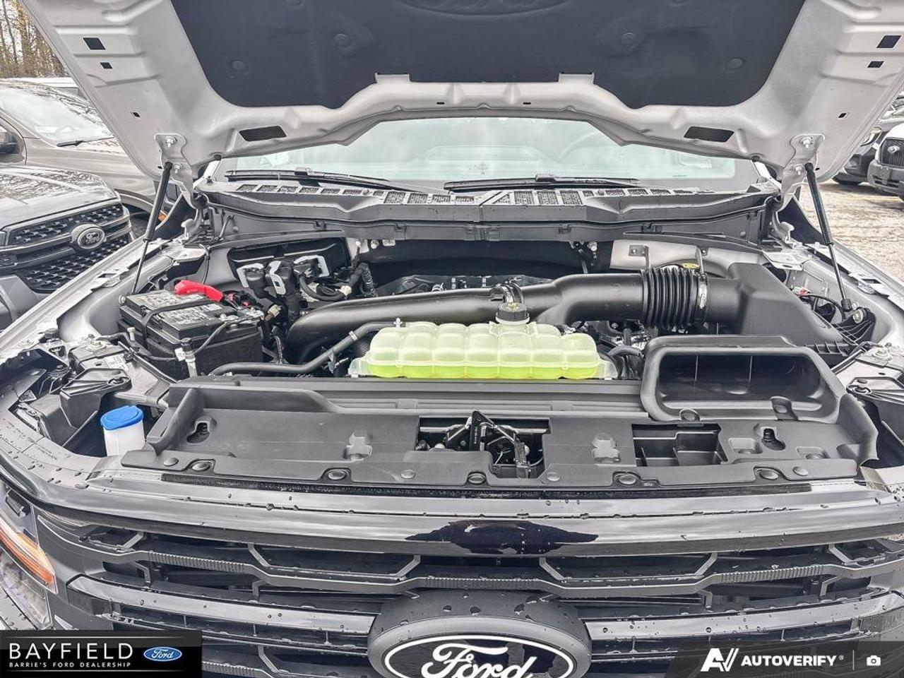 2026 Ford F-150 XLT 4WD SuperCrew 5.5' Box Photo