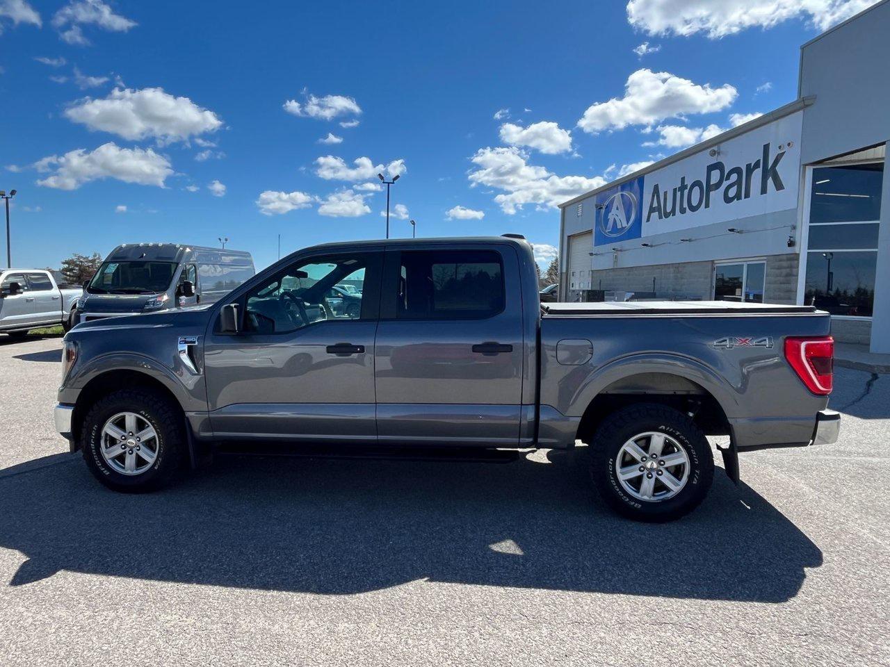 2023 Ford F-150 XLT 4WD SuperCrew 5.5' Box Photo
