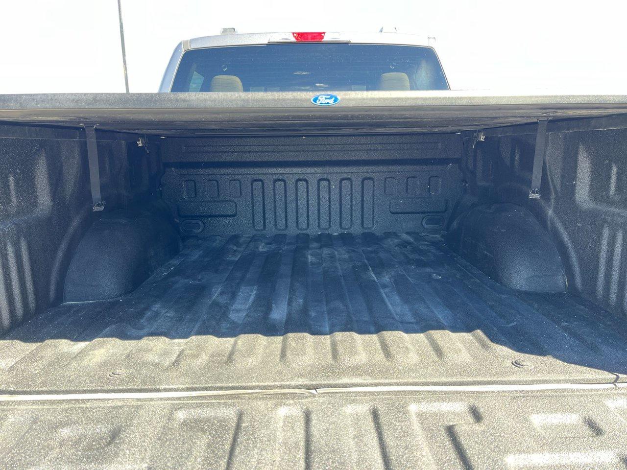 2023 Ford F-150 XLT 4WD SuperCrew 5.5' Box Photo