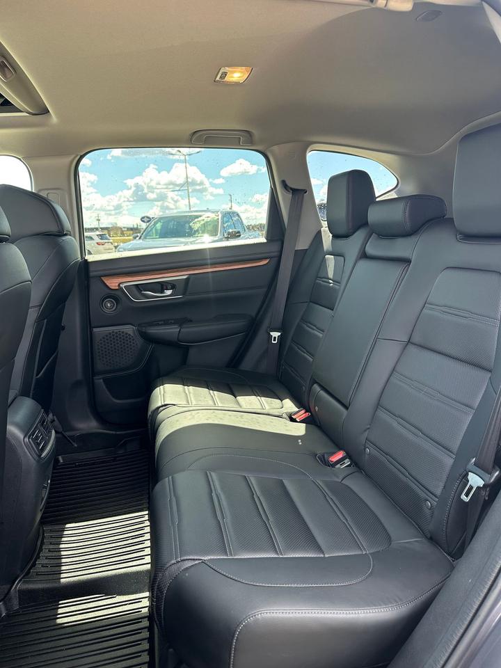 2020 Honda CR-V EX-L AWD Photo