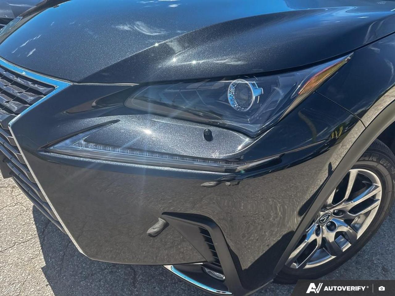 2021 Lexus NX NX300 / NO ACCIDENTS / LEATHER / ROOF / AWD Photo
