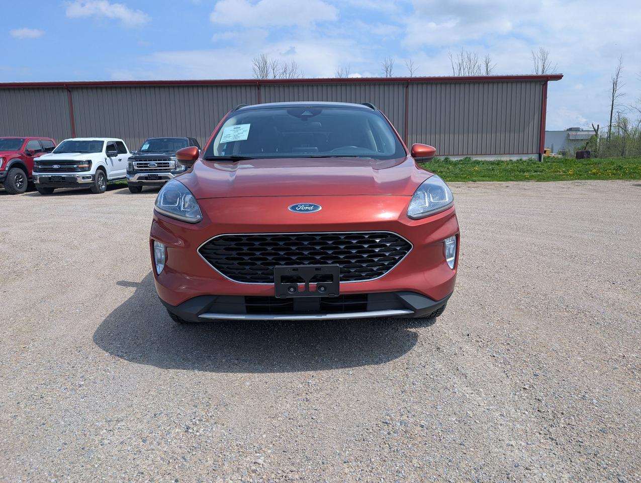 2020 Ford Escape SEL AWD Photo1