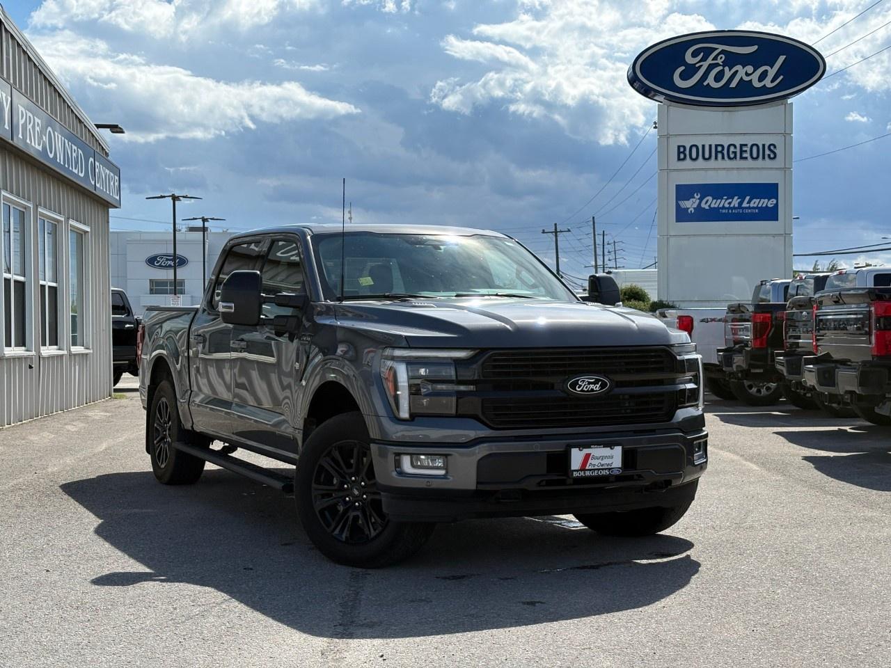 2025 Ford F-150 Platinum 4WD SuperCrew 5.5' Box Photo