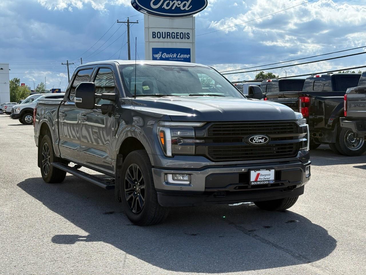 2025 Ford F-150 Platinum 4WD SuperCrew 5.5' Box Photo3
