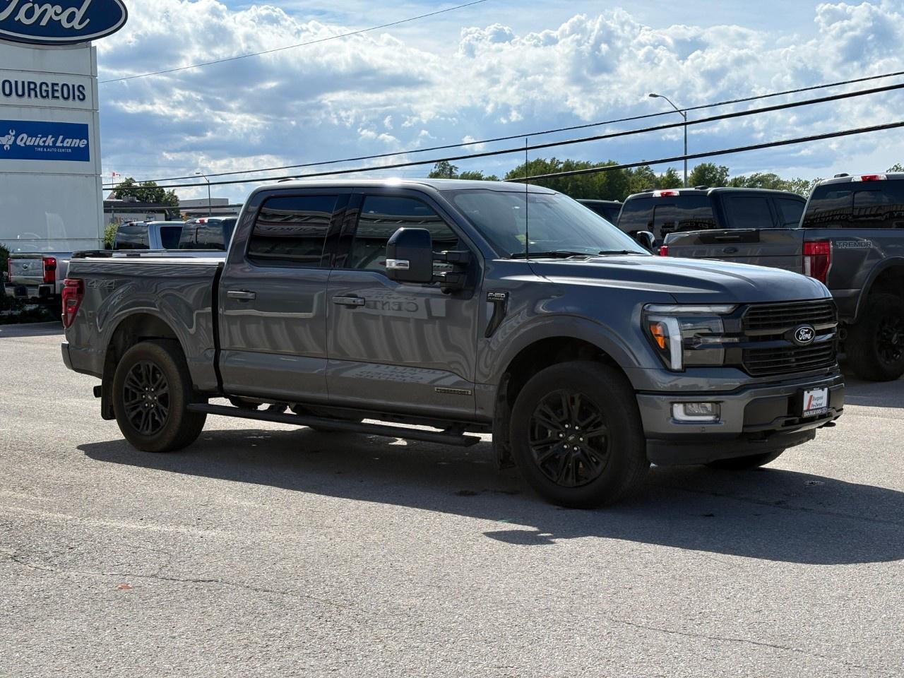 2025 Ford F-150 Platinum 4WD SuperCrew 5.5' Box Photo4