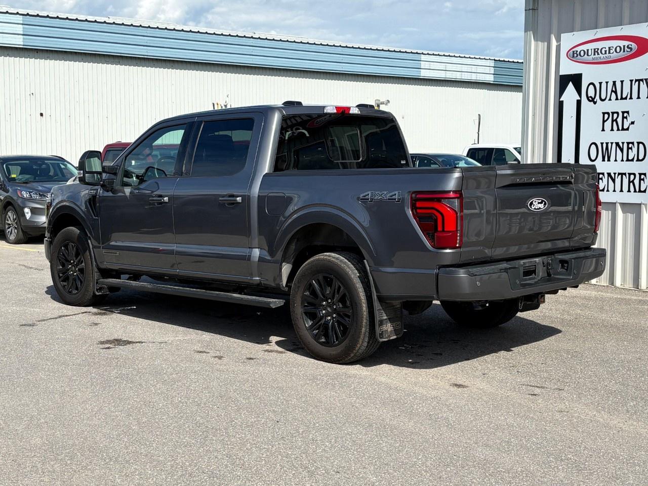 2025 Ford F-150 Platinum 4WD SuperCrew 5.5' Box Photo