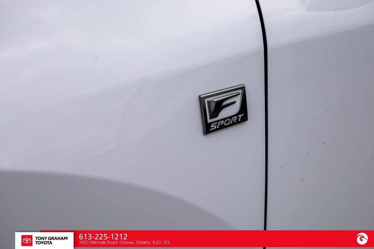 2023 Lexus RX 350  Photo
