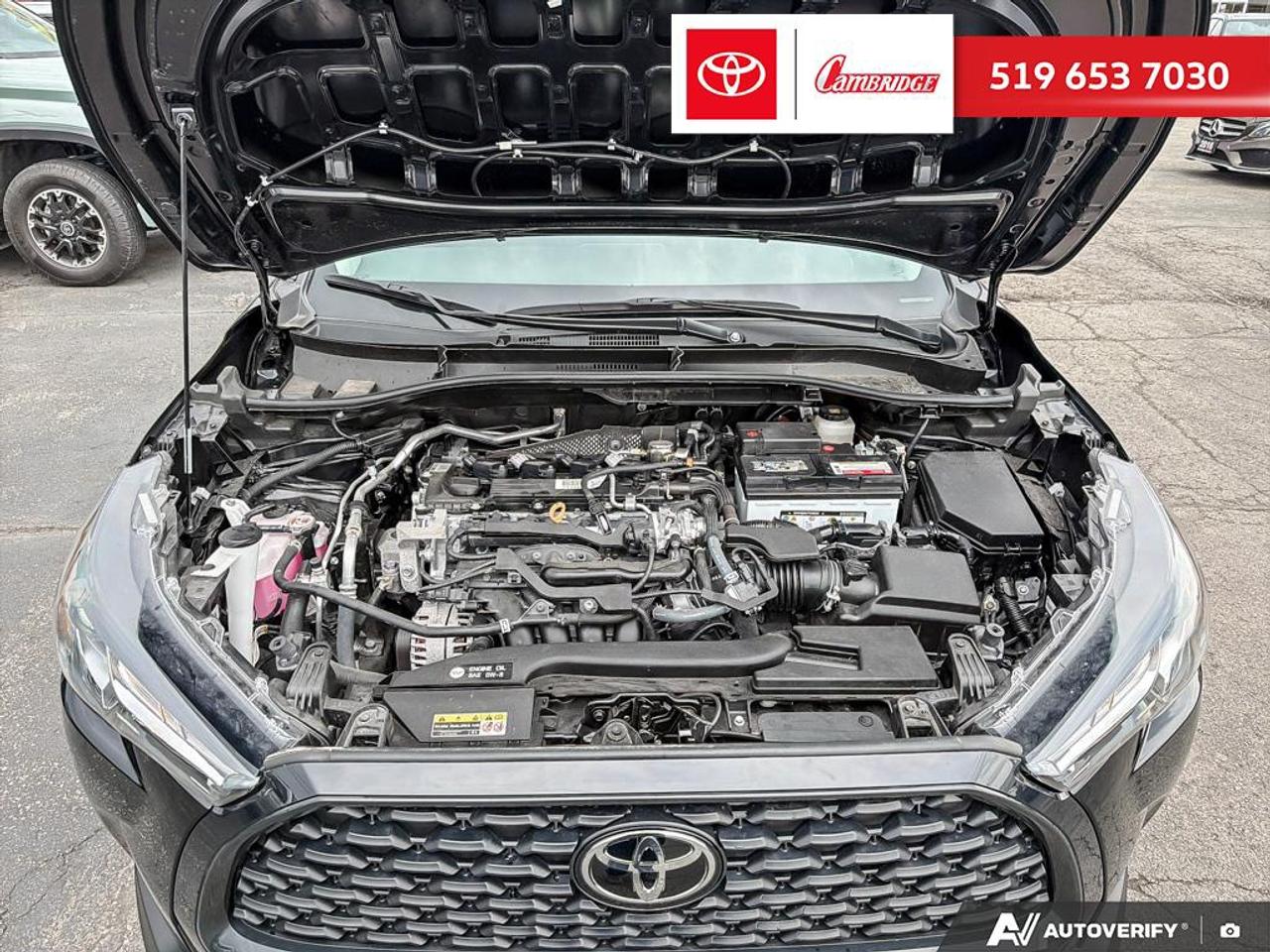 2024 Toyota Corolla Cross LE AWD Photo