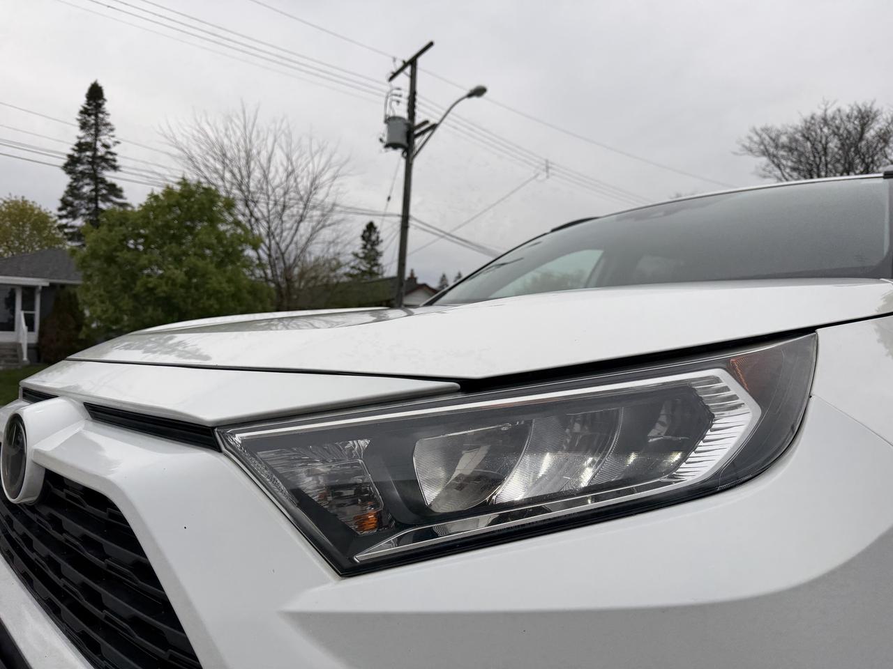 2020 Toyota RAV4 XLE FWD Photo