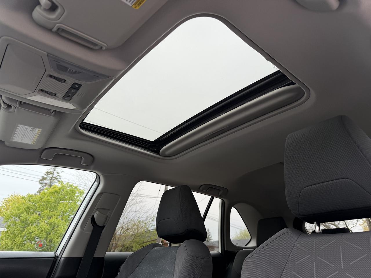 2020 Toyota RAV4 XLE FWD Photo