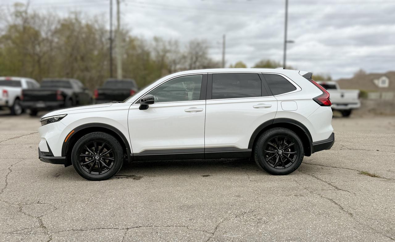 2024 Honda CR-V Hybrid EX-L AWD | SUNROOF  | BLUETOOTH | REMOTE START | Photo