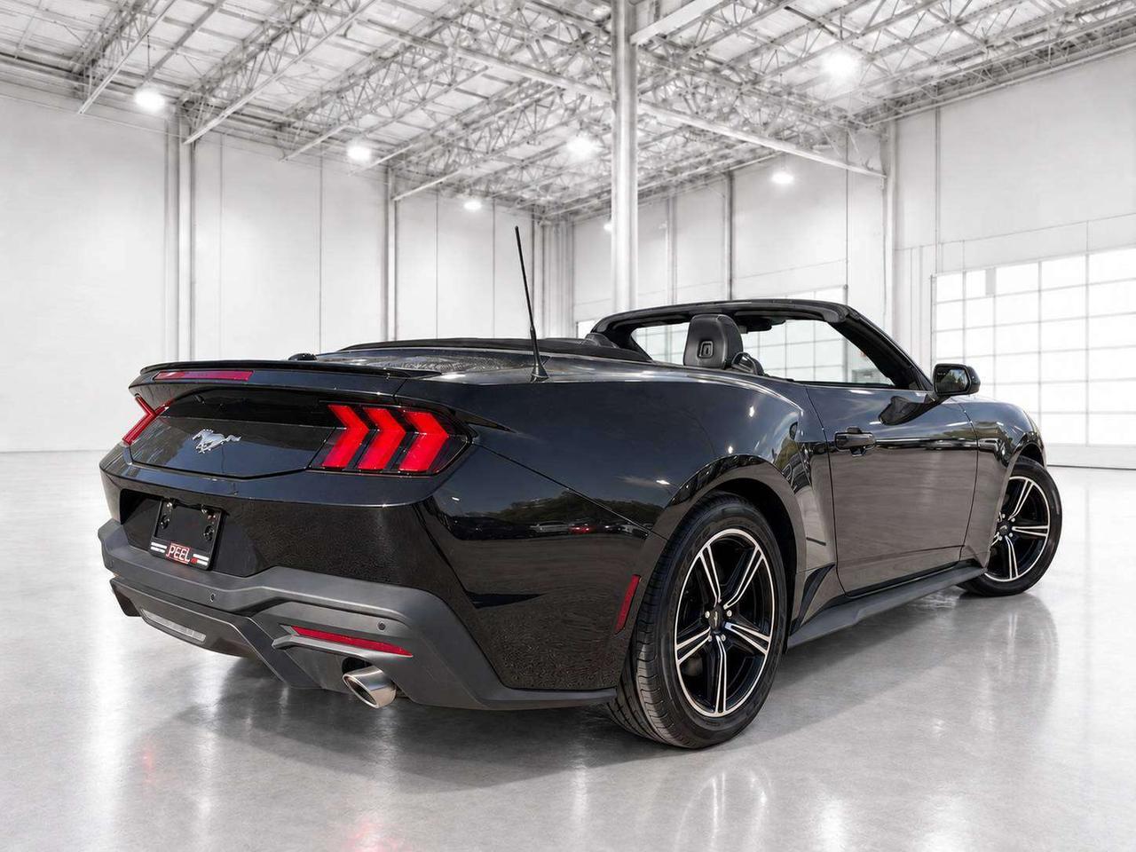 2025 Ford Mustang Ecoboost Premium Convertible RWD Photo