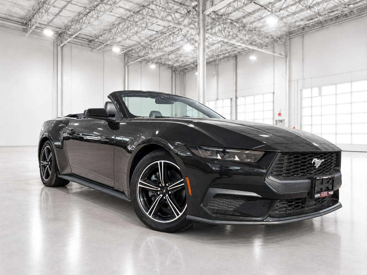 2025 Ford Mustang Ecoboost Premium Convertible RWD Photo5