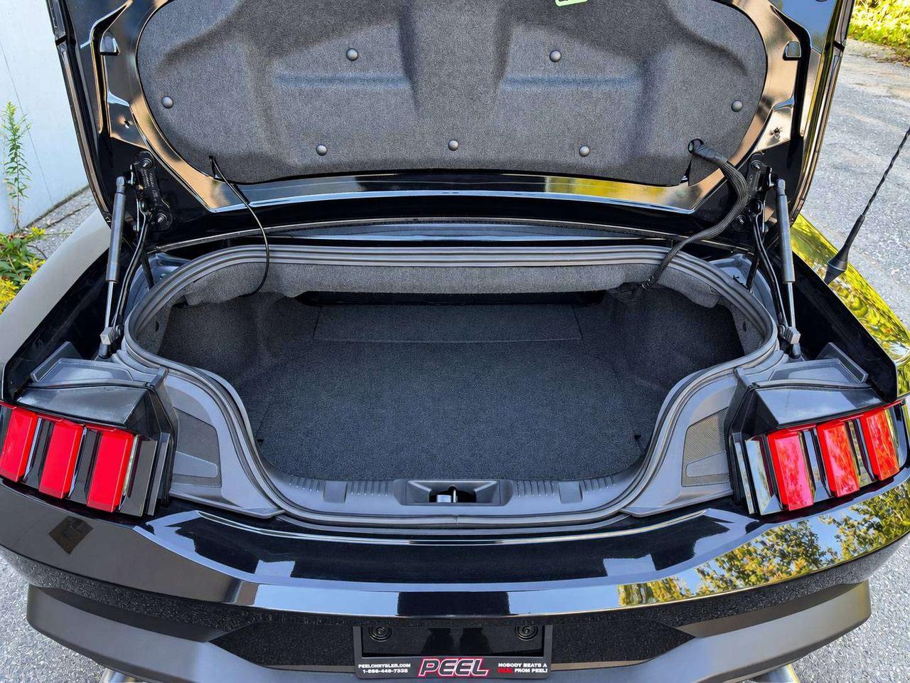 2025 Ford Mustang Ecoboost Premium Convertible RWD Photo